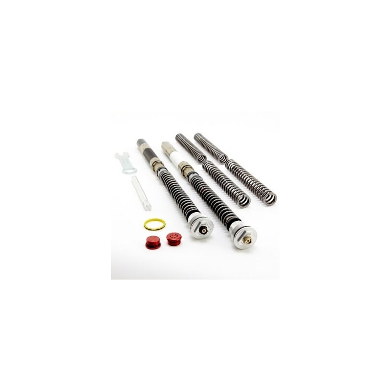 Front fork cartridge K-TECH DDS