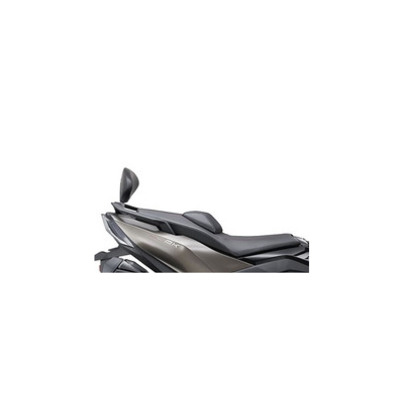 Fixation system SHAD