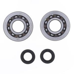 Crankshaft Rebuilding Kit ATHENA P400420444002 (bearing and oil seal kit)