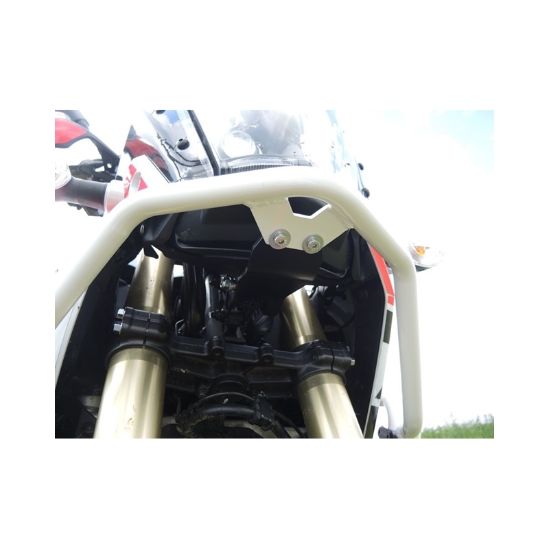 Engine guards RDMOTO White (with protectors)