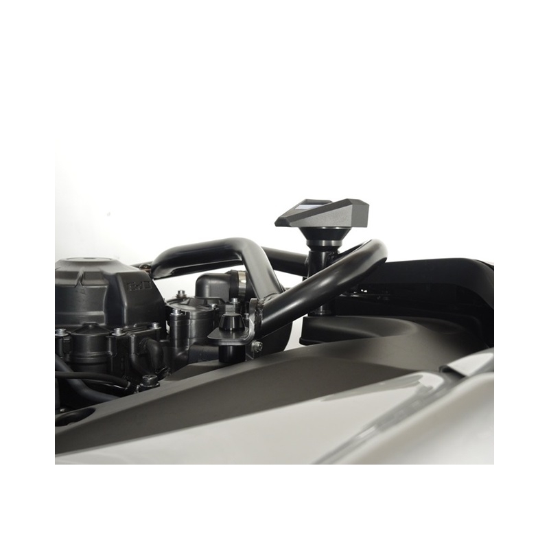 Engine guards RDMOTO Black (with protectors)