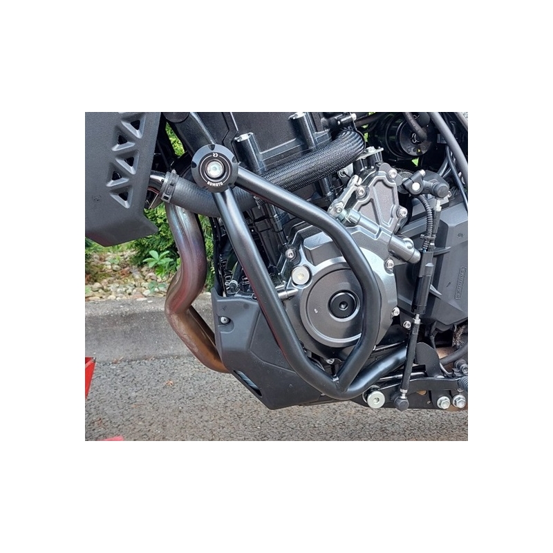 Engine guards RDMOTO Black (with protectors)
