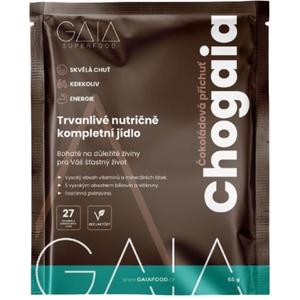Jedzenie instant GAIA Chogaia 1x65g czekolada