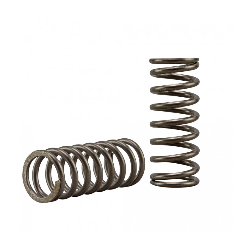 Clutch spring kit EBC 5