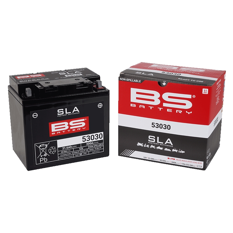 Factory activated battery BS-BATTERY
