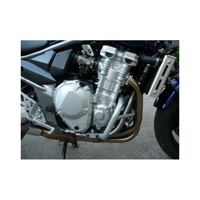 Engine guards RDMOTO silver