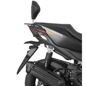 Fixation system SHAD Z0X116RV for SHAD backrest