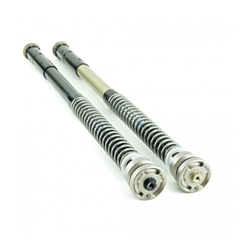 Front fork cartridge K-TECH TRDS-R
